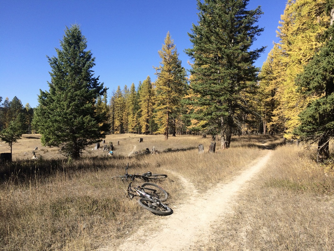 The pig farms trail network is loaded with singletrack