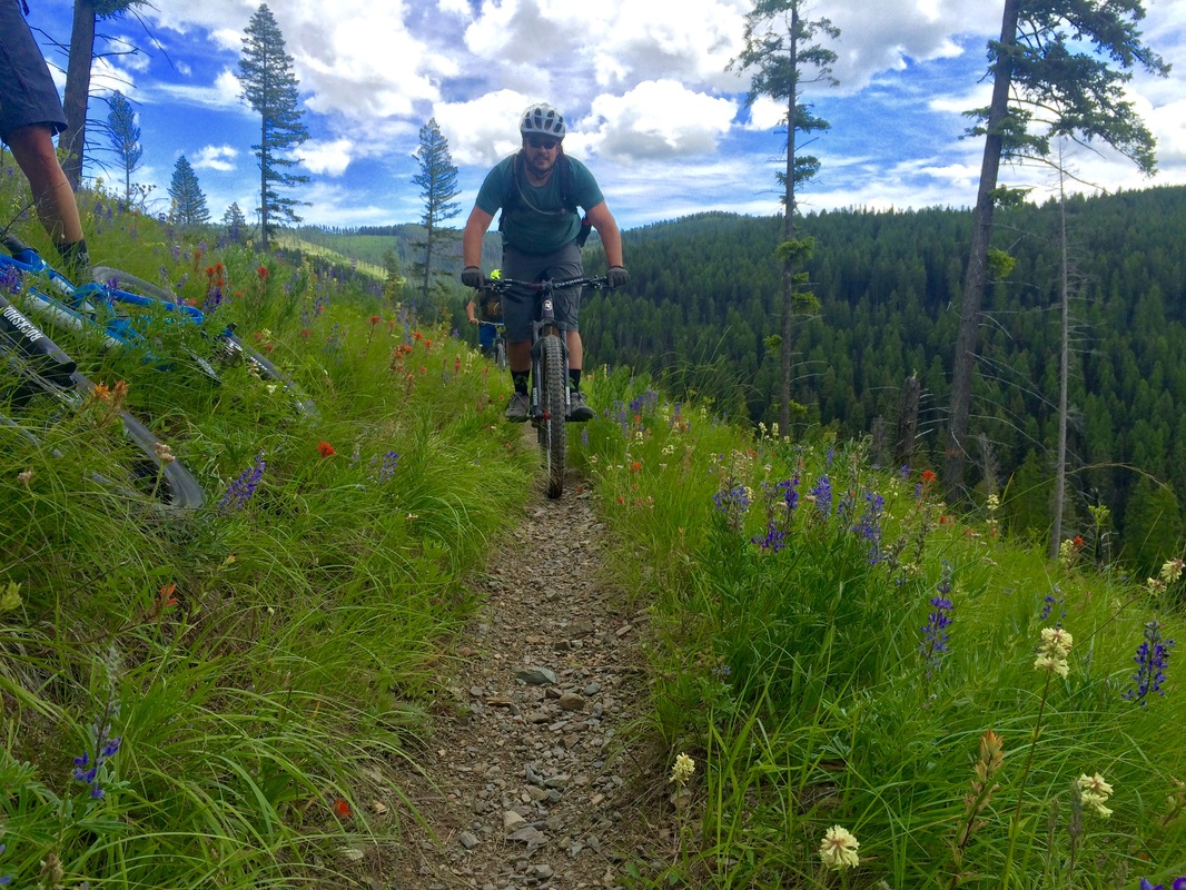 The reid divide trail is a true high alpine experience